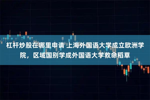 杠杆炒股在哪里申请 上海外国语大学成立欧洲学院，区域国别学成外国语大学救命稻草