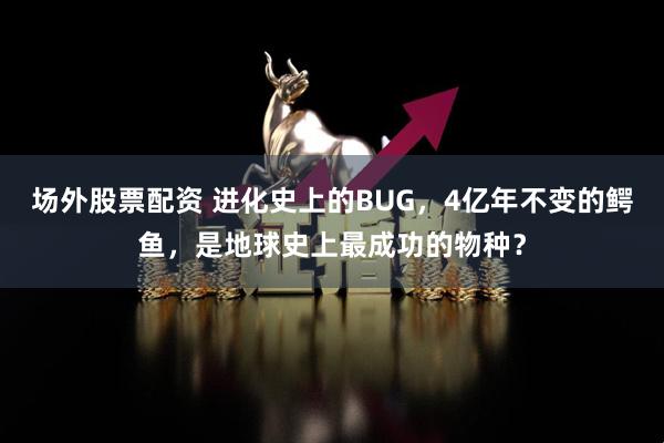 场外股票配资 进化史上的BUG，4亿年不变的鳄鱼，是地球史上最成功的物种？
